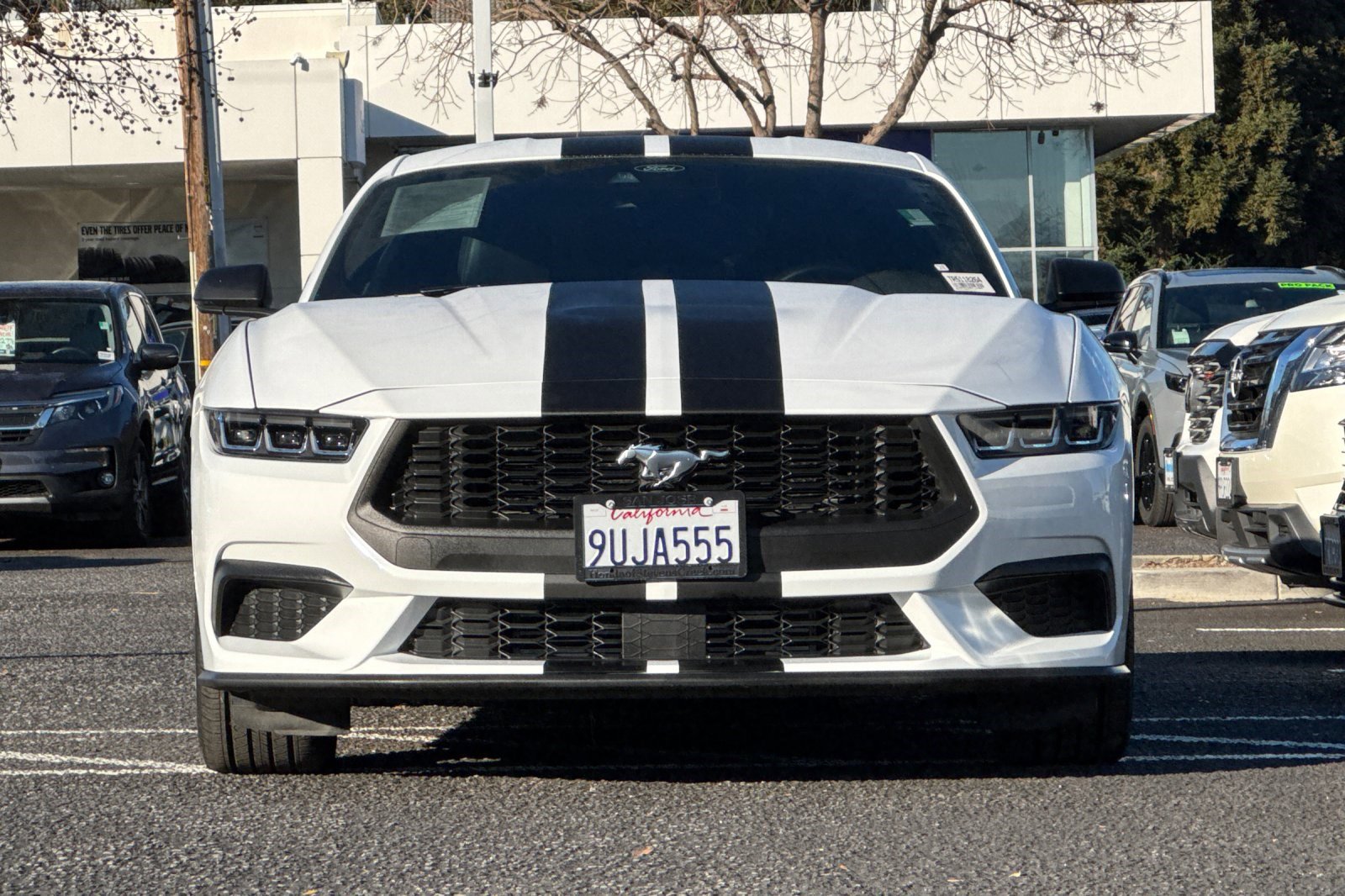 Used 2024 Ford Mustang Premium image 5