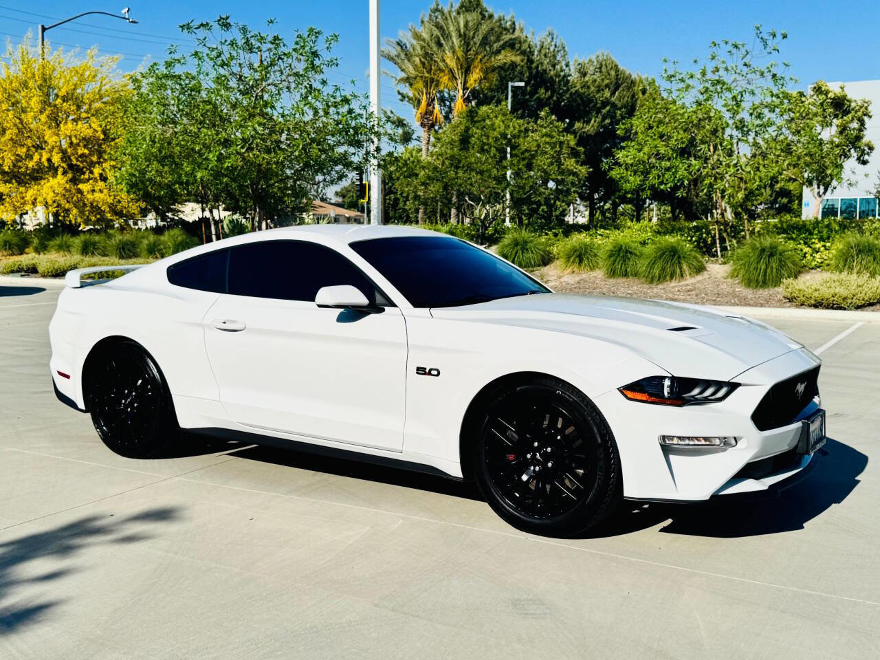 Used 2018 Ford Mustang GT w/ GT Performance Package image 9
