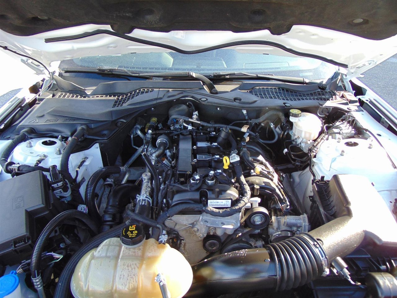 Used 2021 Ford Mustang EcoBoost w/ Equipment Group 101A image 36