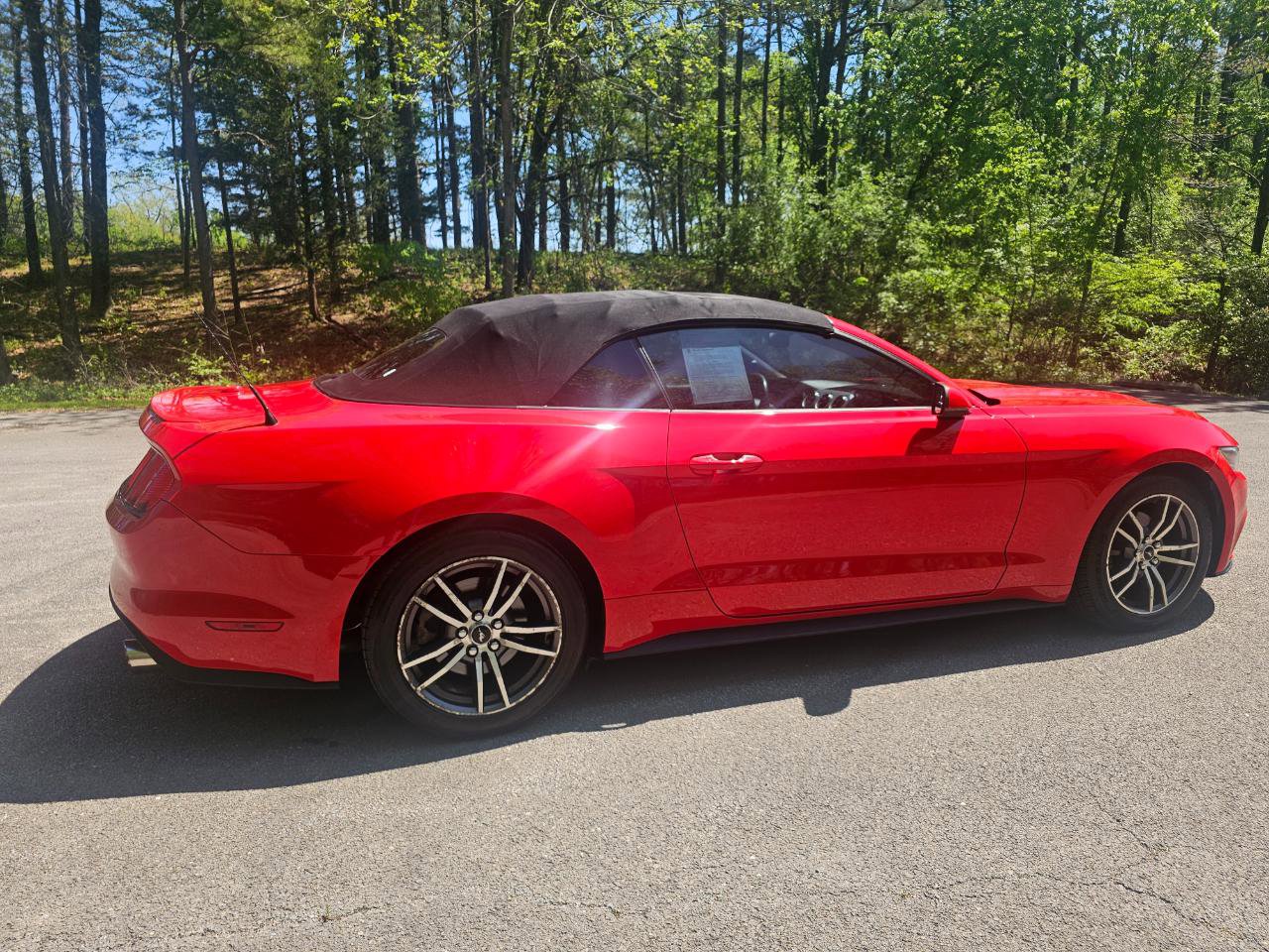 Used 2016 Ford Mustang Premium RWD image 5