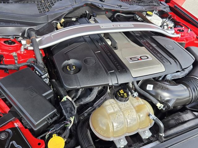 Used 2019 Ford Mustang GT Premium w/ Equipment Group 401A RWD image 16