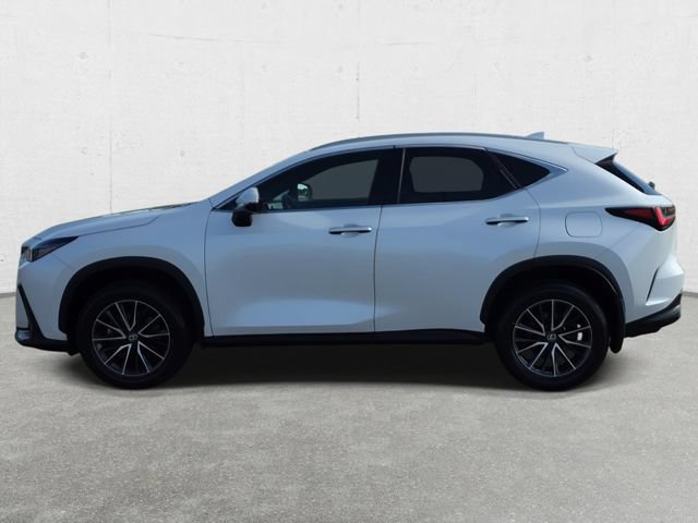 Certified 2024 Lexus NX 350 AWD w/ Cold Area Package image 8