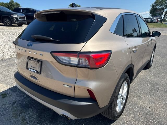Used 2020 Ford Escape SE AWD/4WD image 6