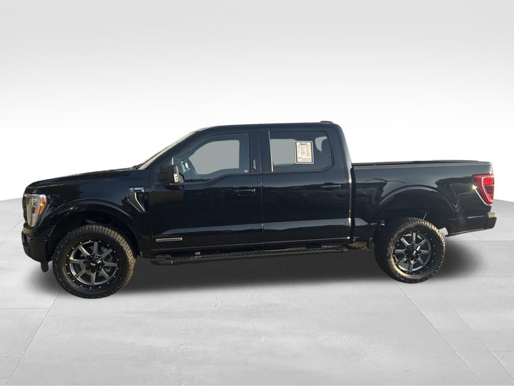 Used 2021 Ford F150 XLT w/ Equipment Group 302A High AWD/4WD video 2