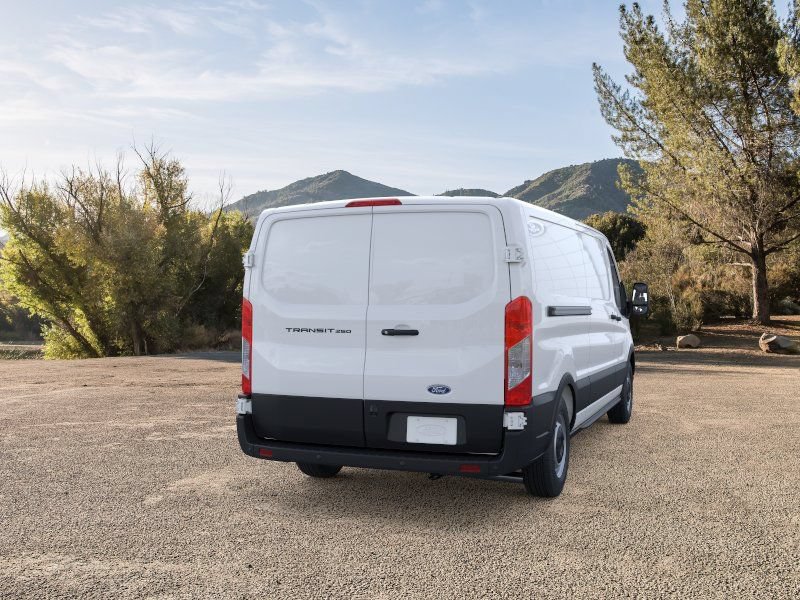 New 2026 Ford Transit 250 Low Roof w/ Load Area Protection Package RWD image 10
