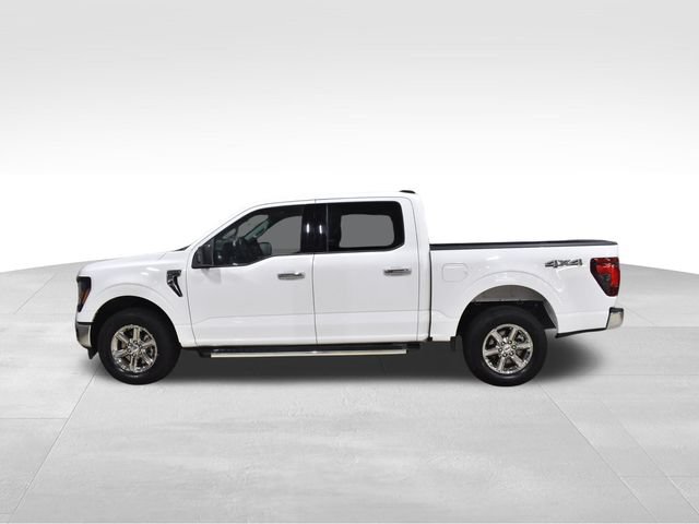 Used 2025 Ford F150 XLT w/ Equipment Group 301A Standard AWD/4WD image 5