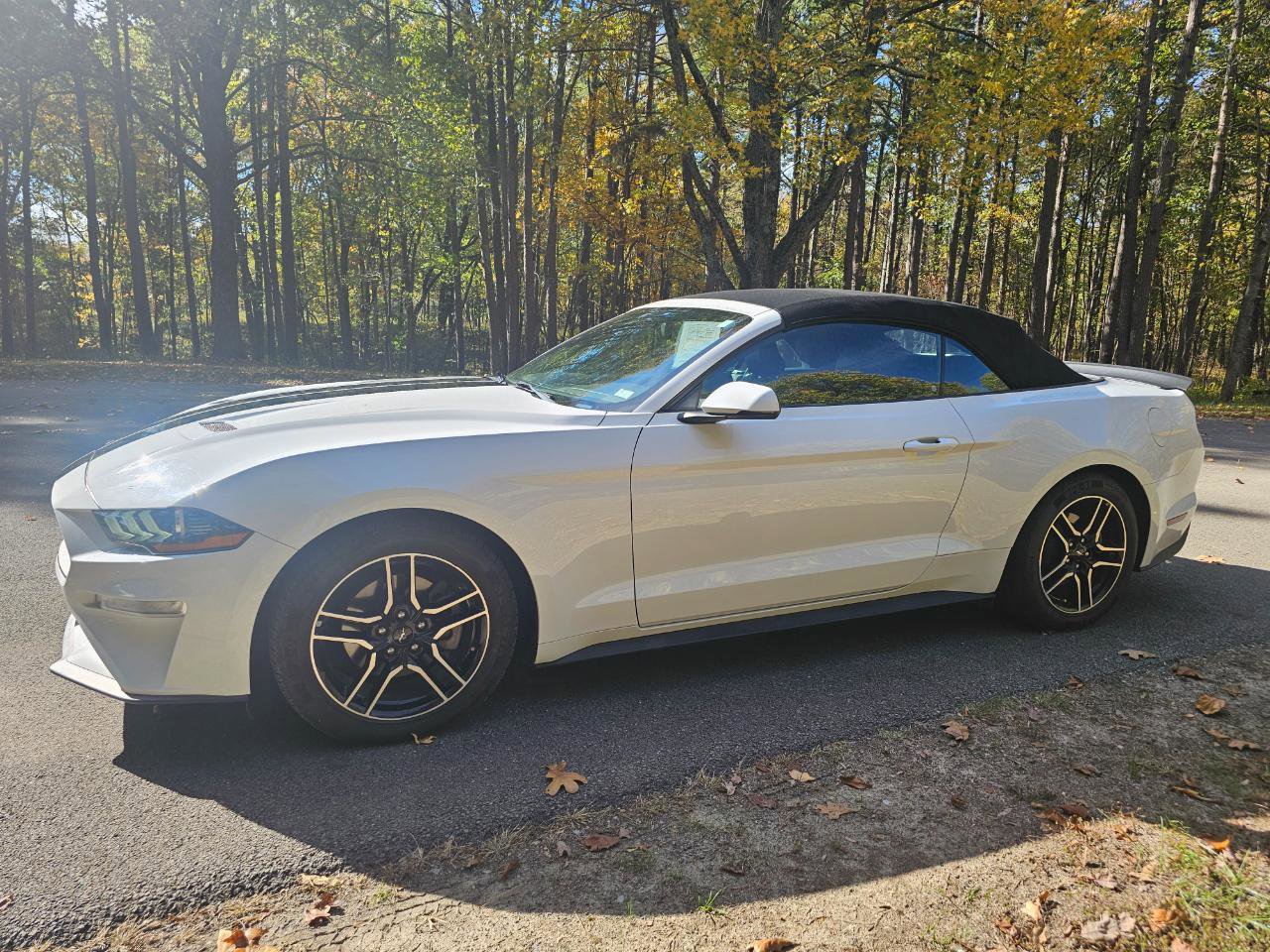 Used 2018 Ford Mustang Premium RWD image 11