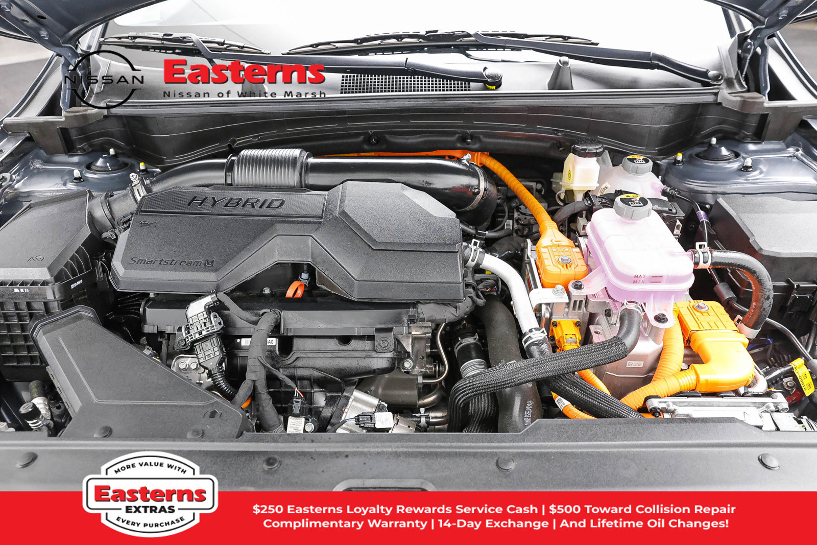 Used 2025 Kia Sportage EX w/ EX Premium Package AWD/4WD image 7