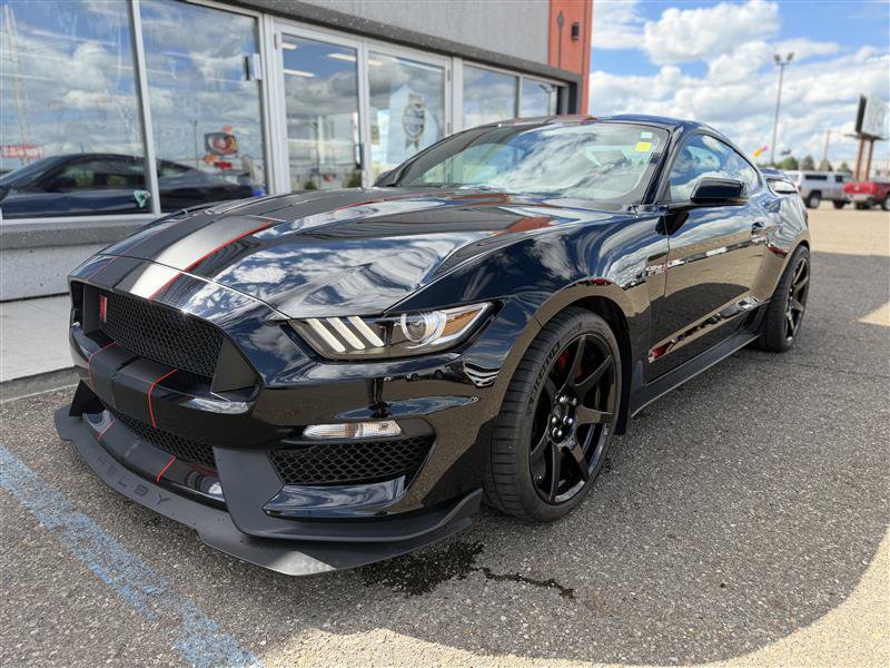 Used 2018 Ford Mustang Shelby GT350R w/ GT350R Equipment Group 920A RWD image 1