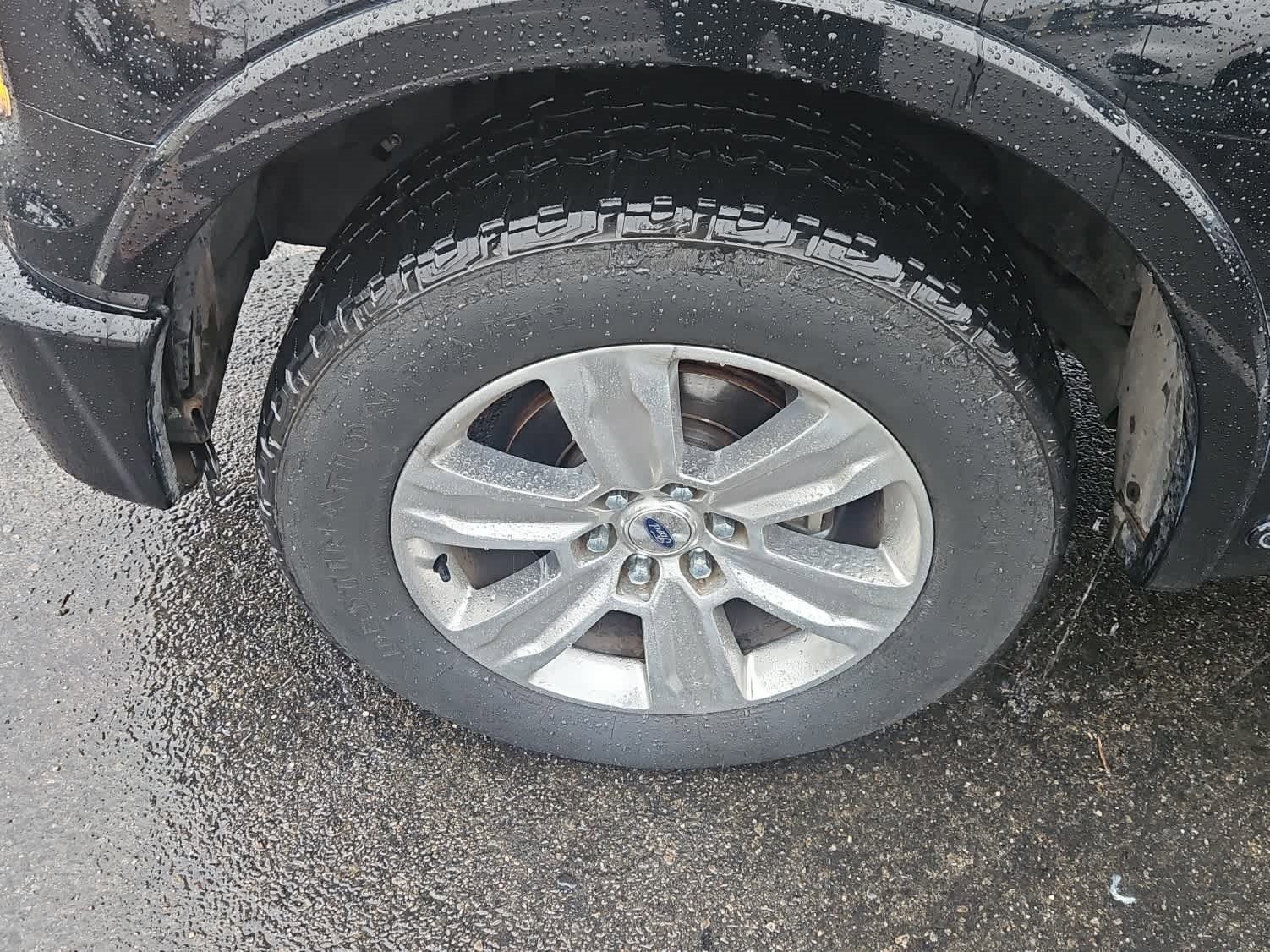 Used 2016 Ford F150 Platinum w/ Equipment Group 701A Luxury image 3