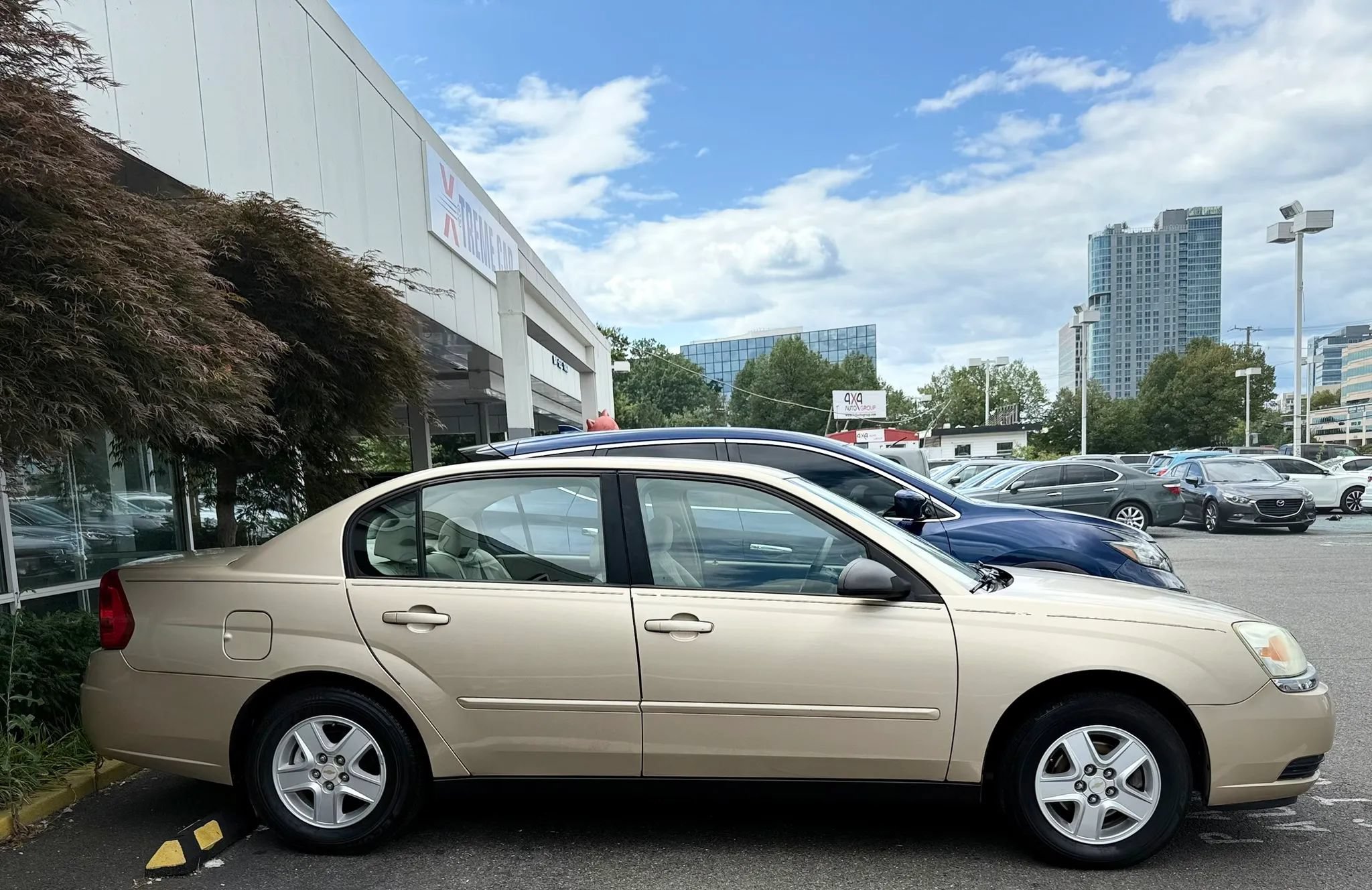 Used 2004 Chevrolet Malibu LS w/ Preferred Equipment Group FWD image 8