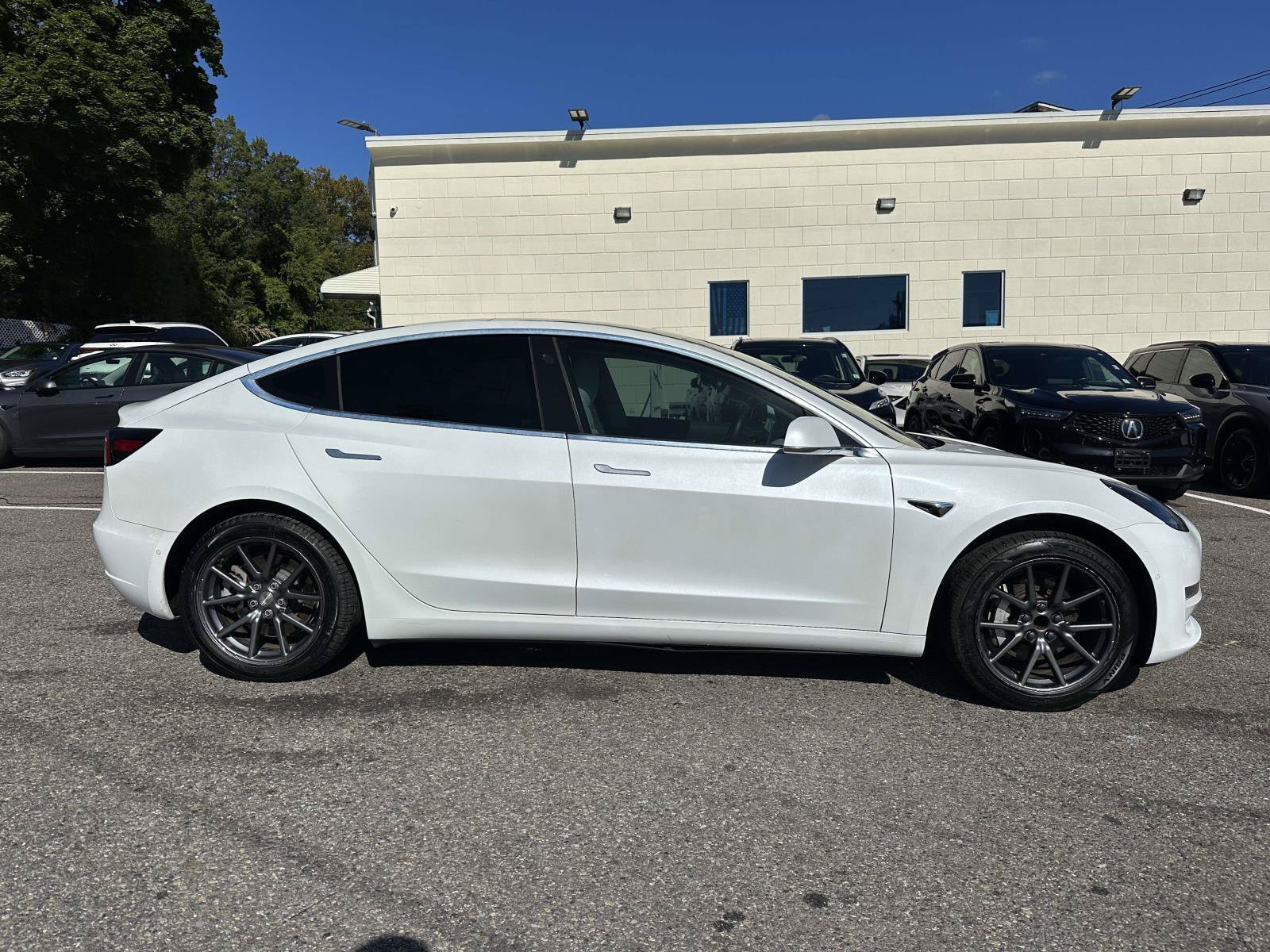 Used 2019 Tesla Model 3 Standard Range RWD image 2