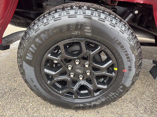 New 2025 Ford F150 XLT w/ Equipment Group 302A MID image 22