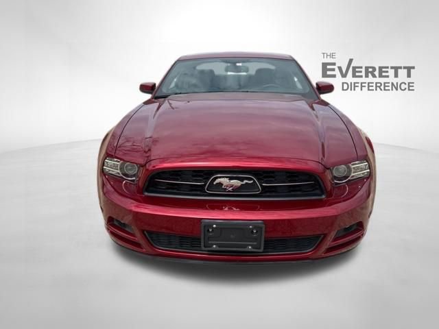 Used 2014 Ford Mustang Premium w/ Equipment Group 202A image 2