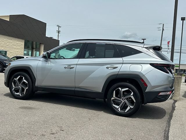 Used 2023 Hyundai Tucson Limited AWD/4WD image 2