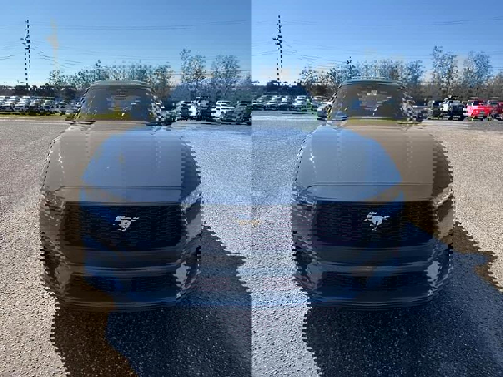 New 2024 Ford Mustang Premium RWD image 3