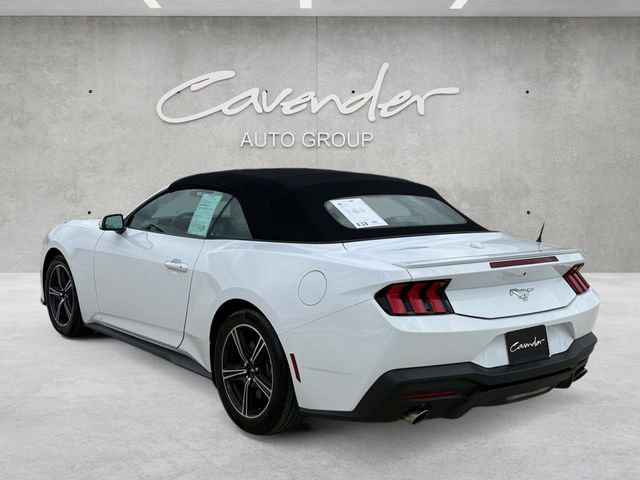 Certified 2024 Ford Mustang Premium RWD image 14