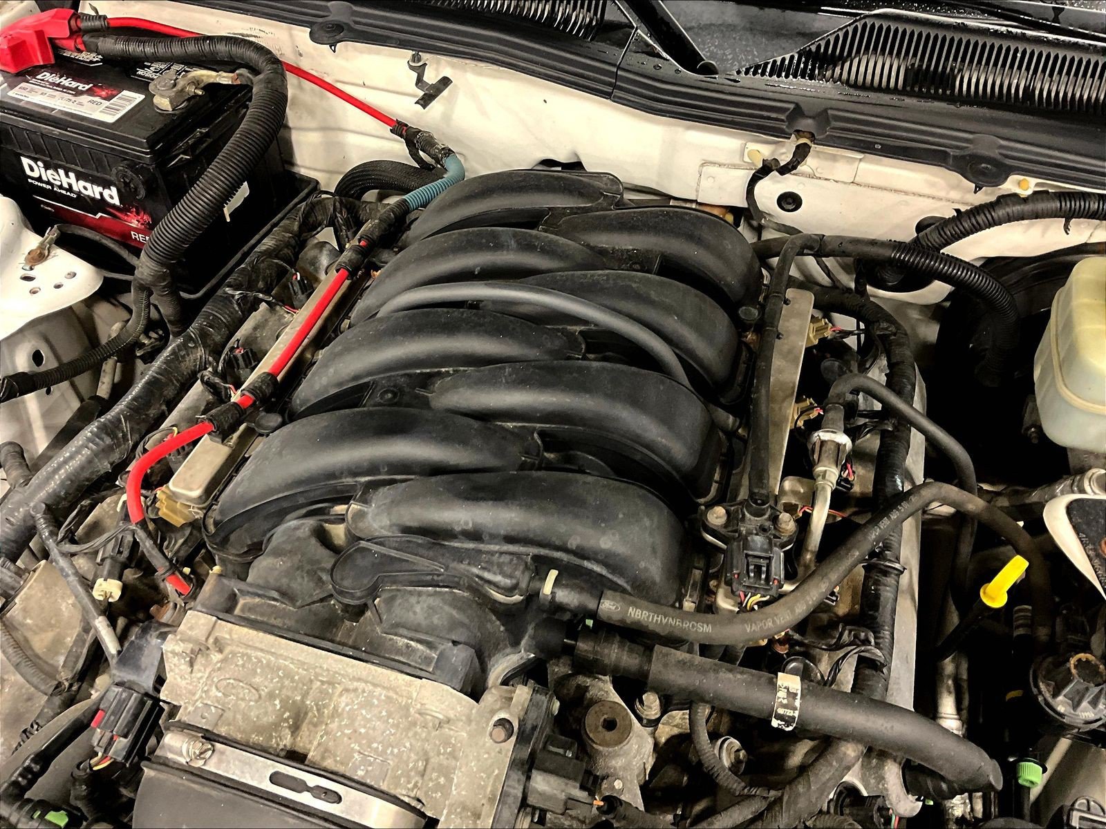 Used 2005 Ford Mustang GT RWD image 26