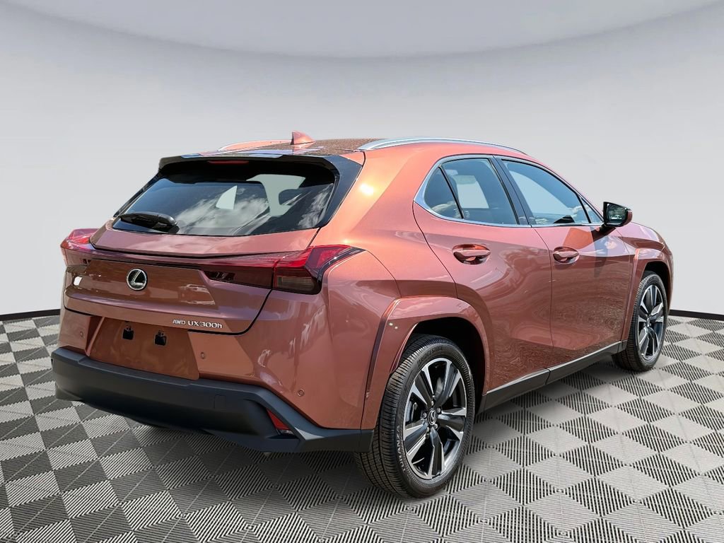 Used 2025 Lexus UX 300h AWD video 2