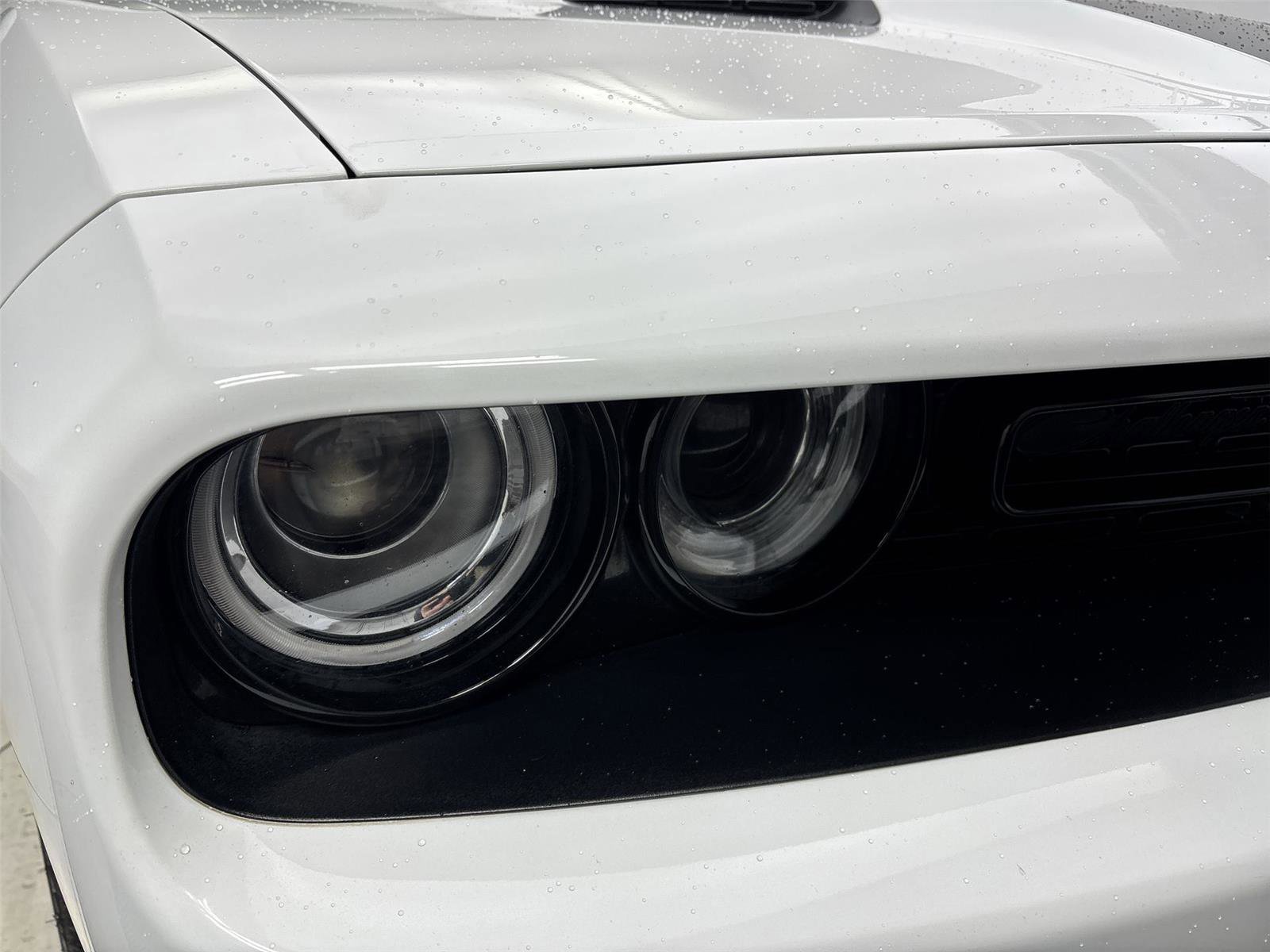 Used 2022 Dodge Challenger SXT w/ Blacktop Package image 18