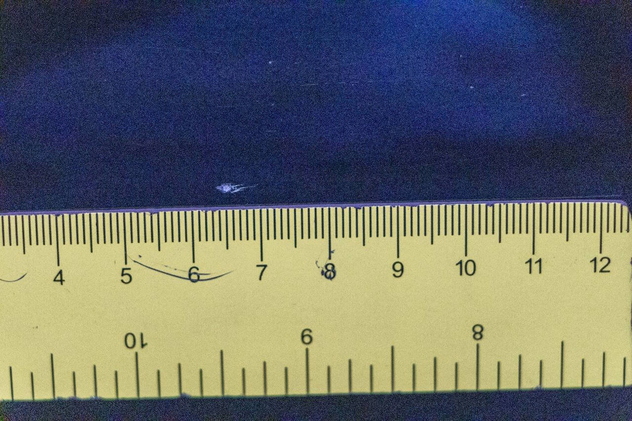 Used 2020 Jeep Wrangler Unlimited Sport S image 28