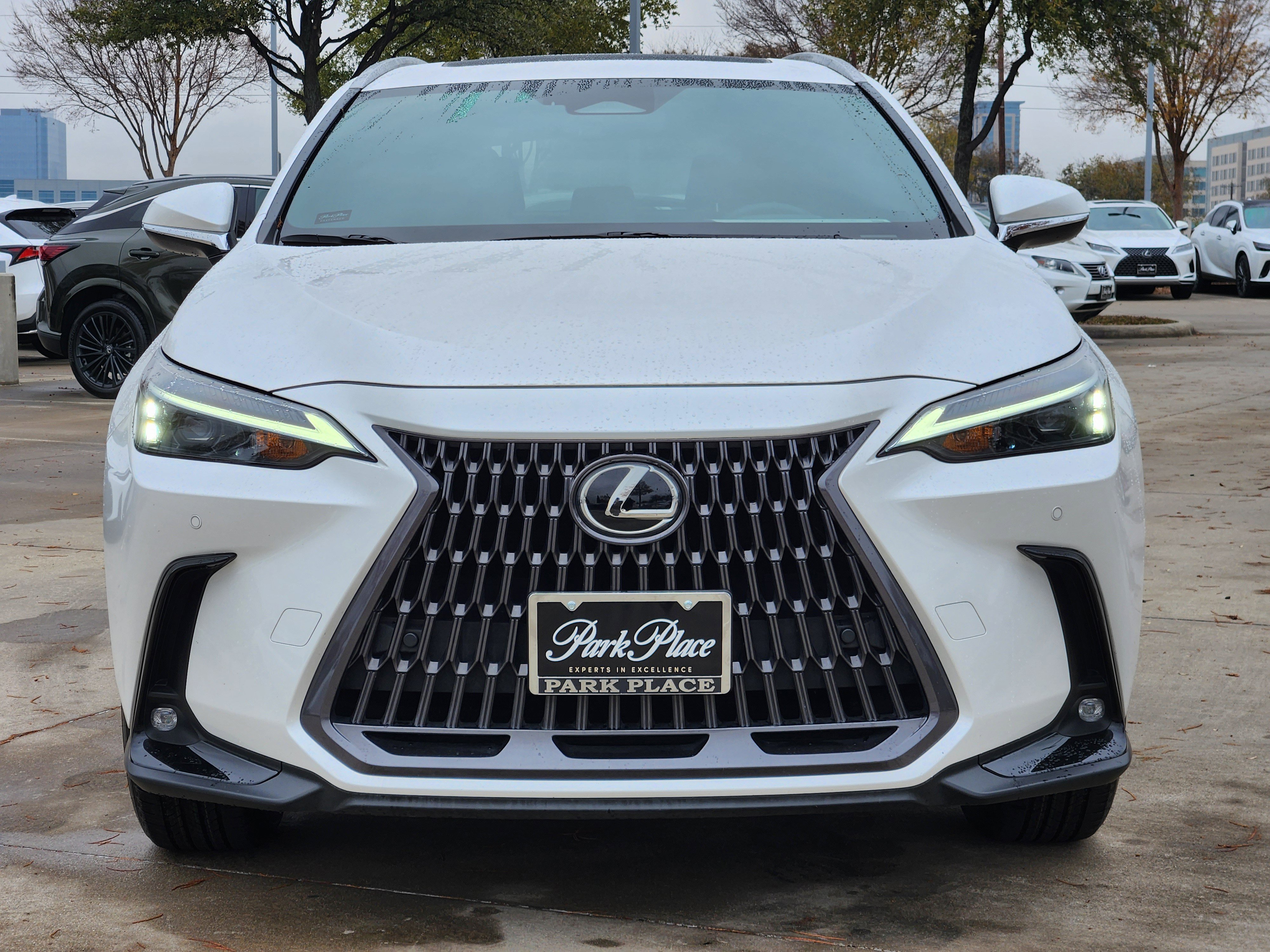 Certified 2024 Lexus NX 250 FWD w/ Premium Package image 8