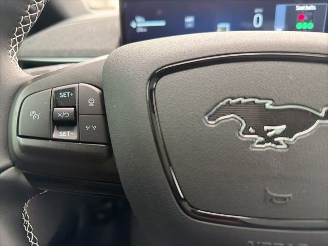 New 2025 Ford Mustang Mach-E GT w/ Interior Protection Package image 19