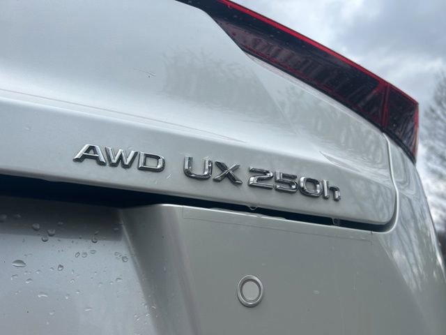 Used 2024 Lexus UX 250h AWD w/ Premium Package image 5