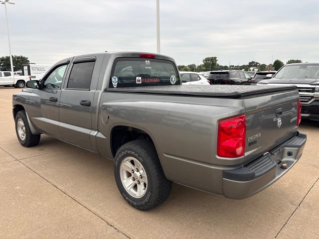 Used 2010 Dodge Dakota ST RWD image 5