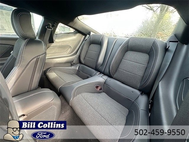 New 2025 Ford Mustang GT image 22