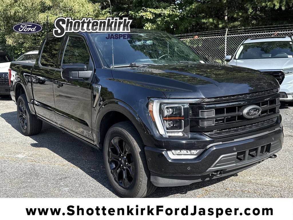 Used 2023 Ford F150 Platinum w/ Equipment Group 701A High