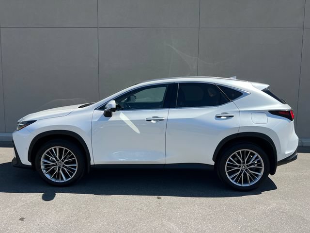 Used 2025 Lexus NX 350h AWD w/ Accessory Package (2T) image 5