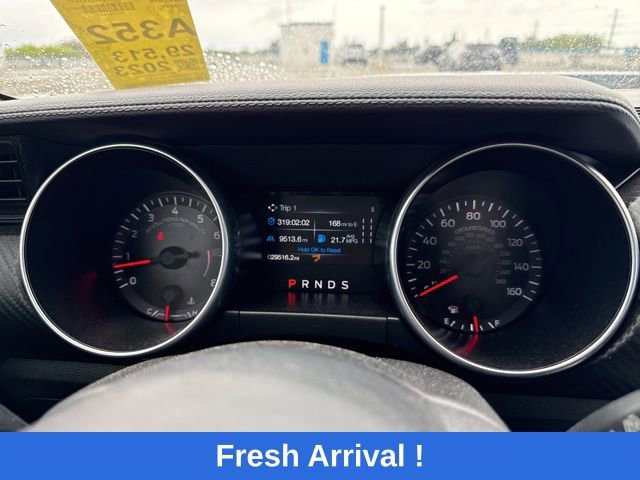 Used 2023 Ford Mustang Coupe RWD image 4