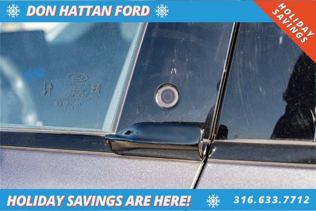 Used 2021 Ford Mustang Mach-E Premium image 31