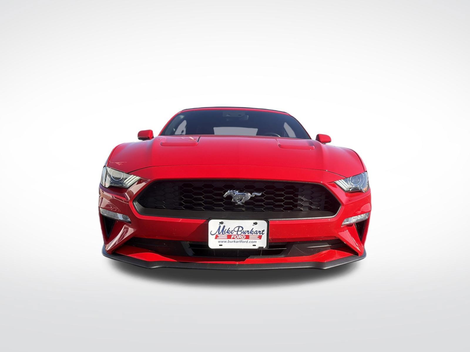 Used 2019 Ford Mustang Premium w/ Equipment Group 201A RWD image 3