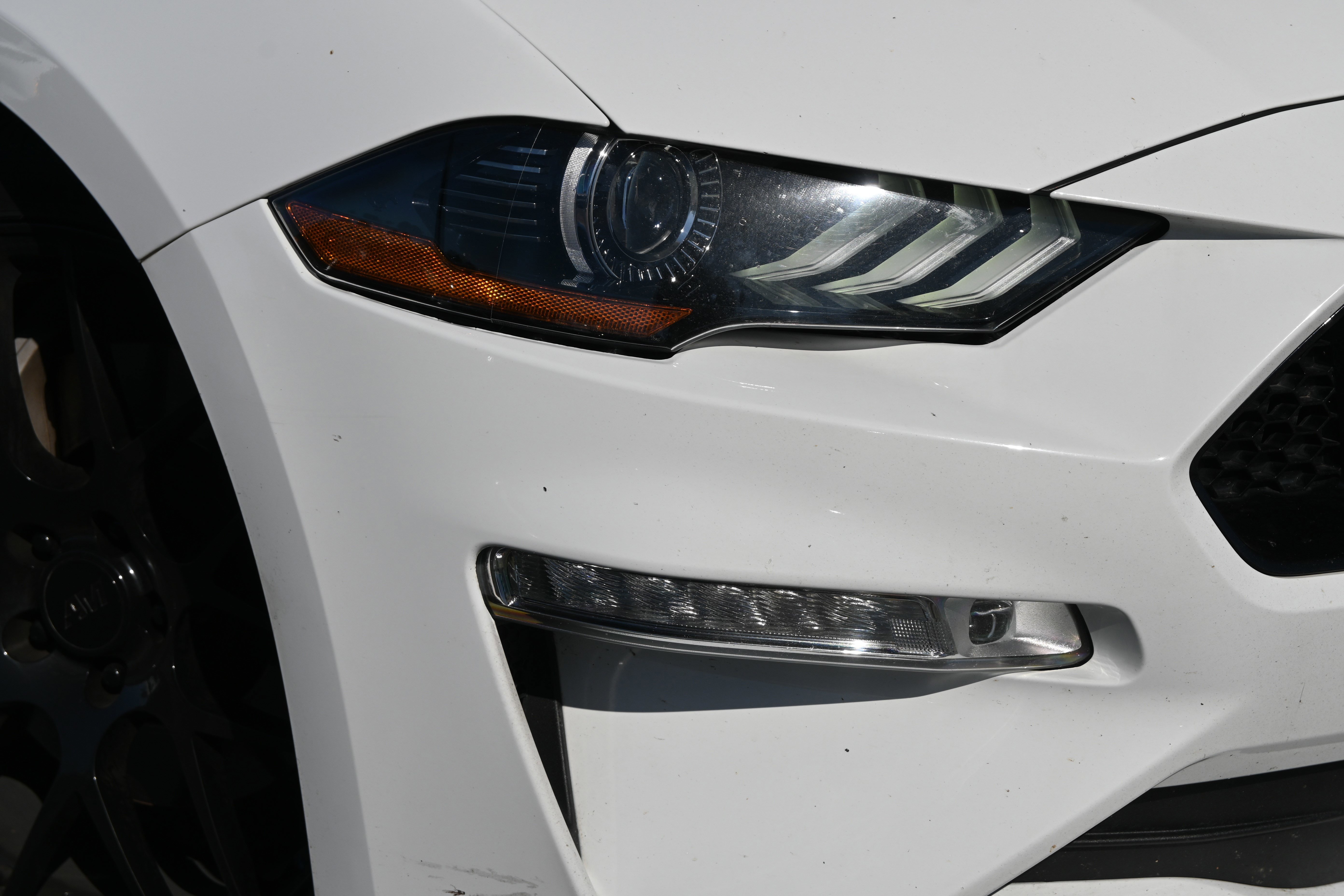 Used 2019 Ford Mustang GT Premium w/ Equipment Group 401A image 12