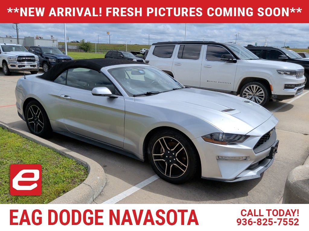 Used 2019 Ford Mustang Premium RWD image 1