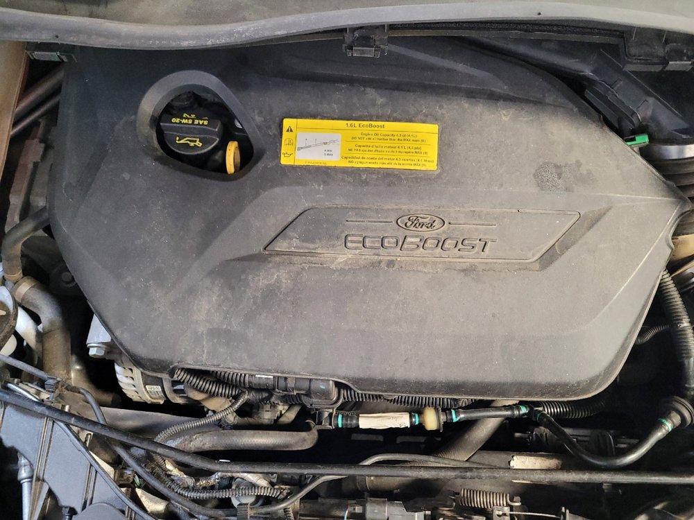 Used 2016 Ford Escape SE w/ SE Chrome Package FWD image 30