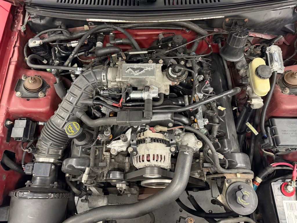 Used 2001 Ford Mustang GT RWD image 11