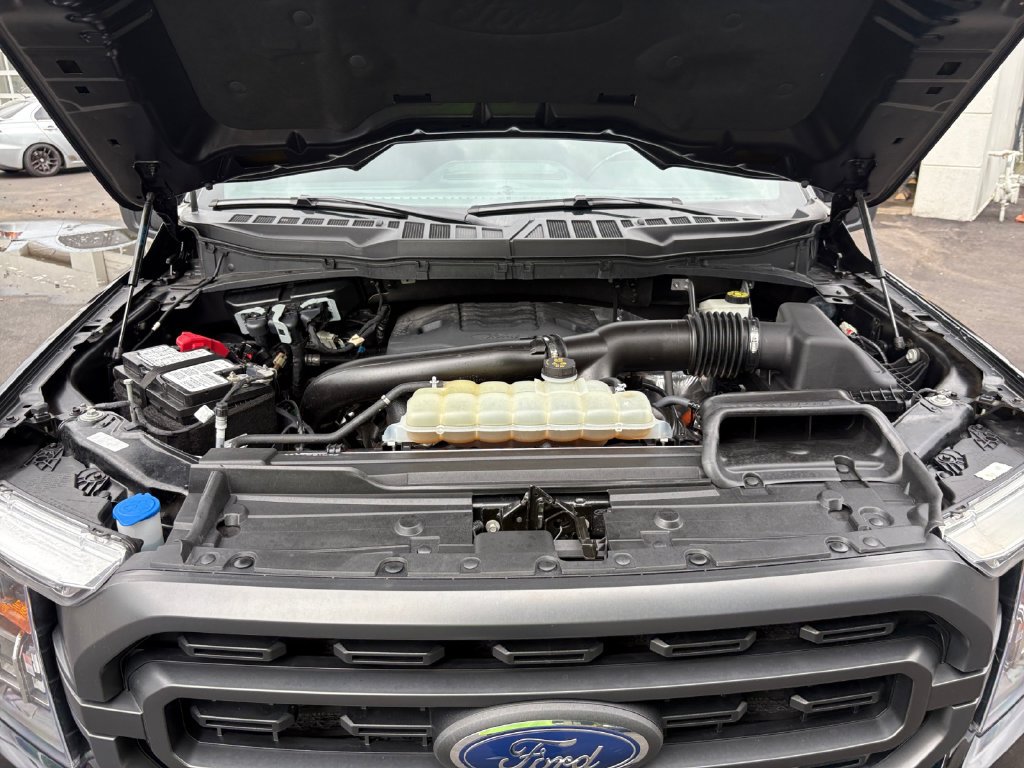 Used 2023 Ford F150 XLT w/ Equipment Group 302A High AWD/4WD image 27