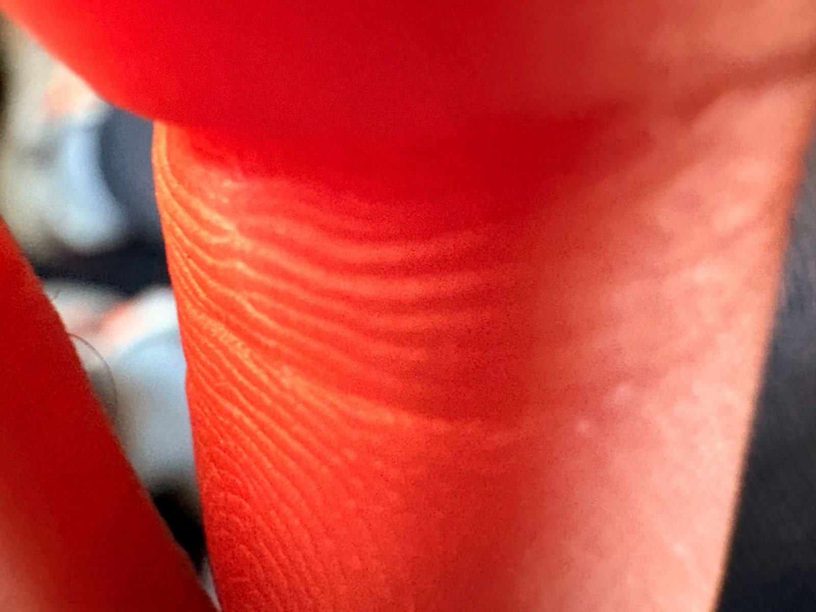 Used 2021 Lexus RX 350L Premium image 29