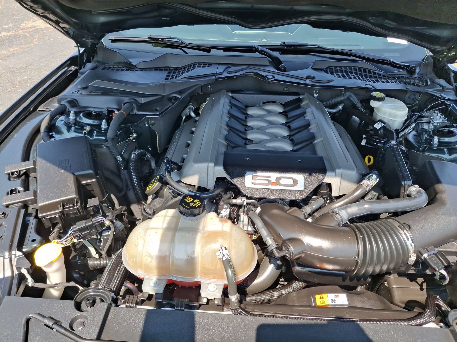 Used 2016 Ford Mustang GT Premium w/ Equipment Group 401A RWD image 24
