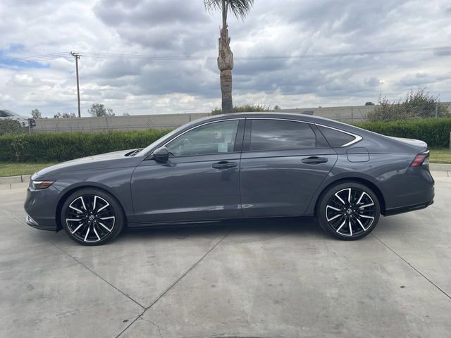 Used 2024 Honda Accord Touring image 5