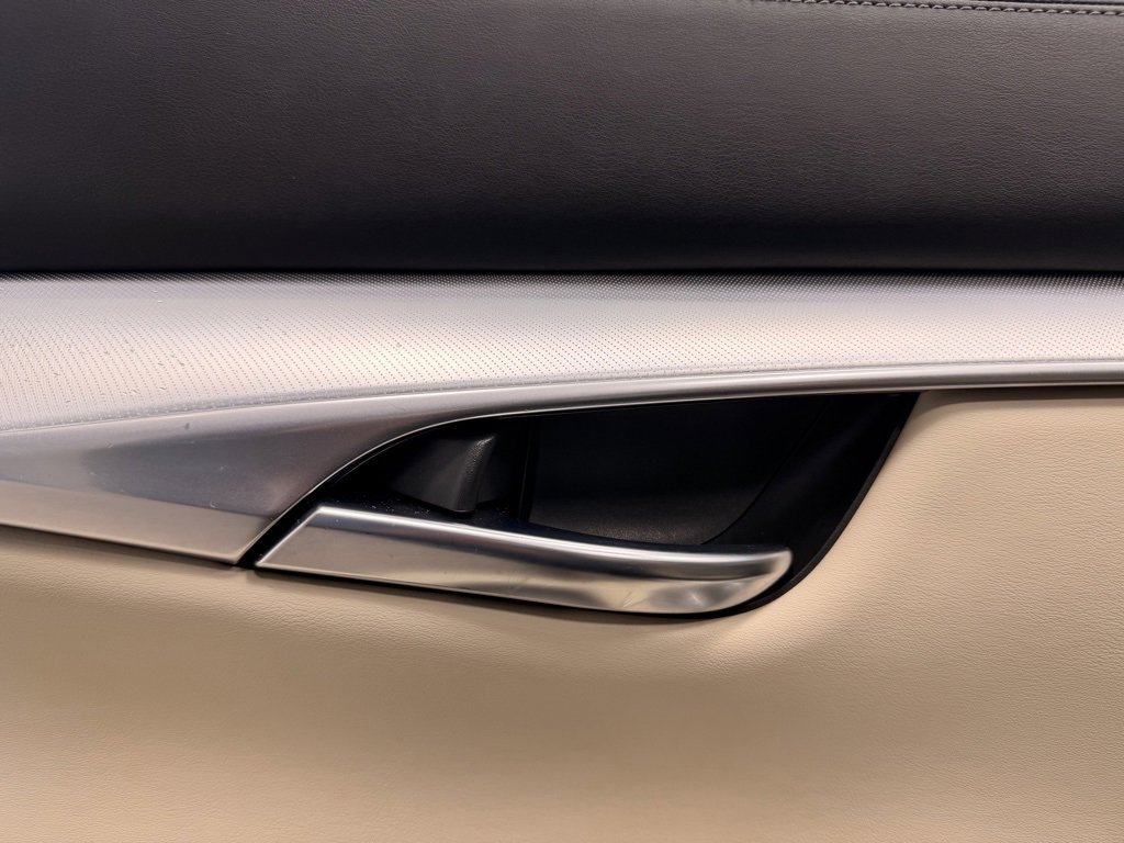 Used 2019 INFINITI QX50 Luxe w/ Cargo Package image 20