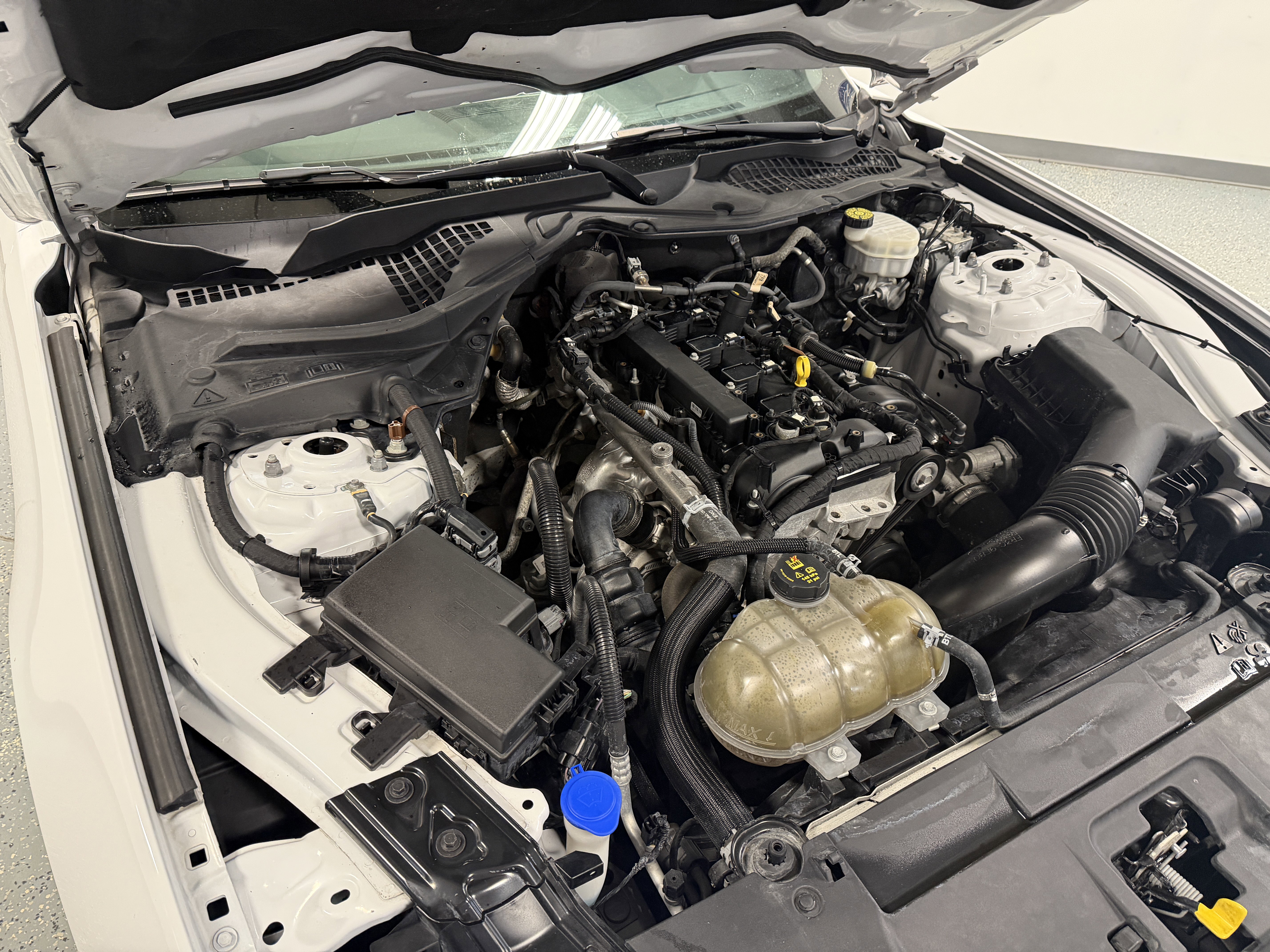 Used 2021 Ford Mustang Premium RWD image 26