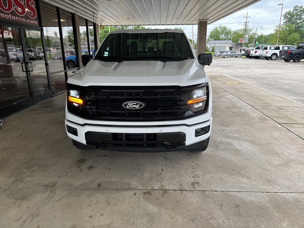 New 2025 Ford F150 XLT w/ Equipment Group 303A High image 2