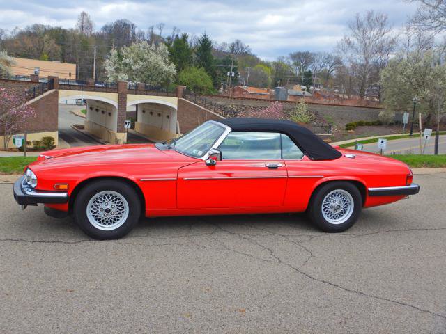 Used 1990 Jaguar XJS V12 Convertible image 14