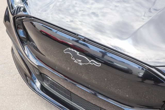 Used 2021 Ford Mustang Mach-E Premium RWD image 14