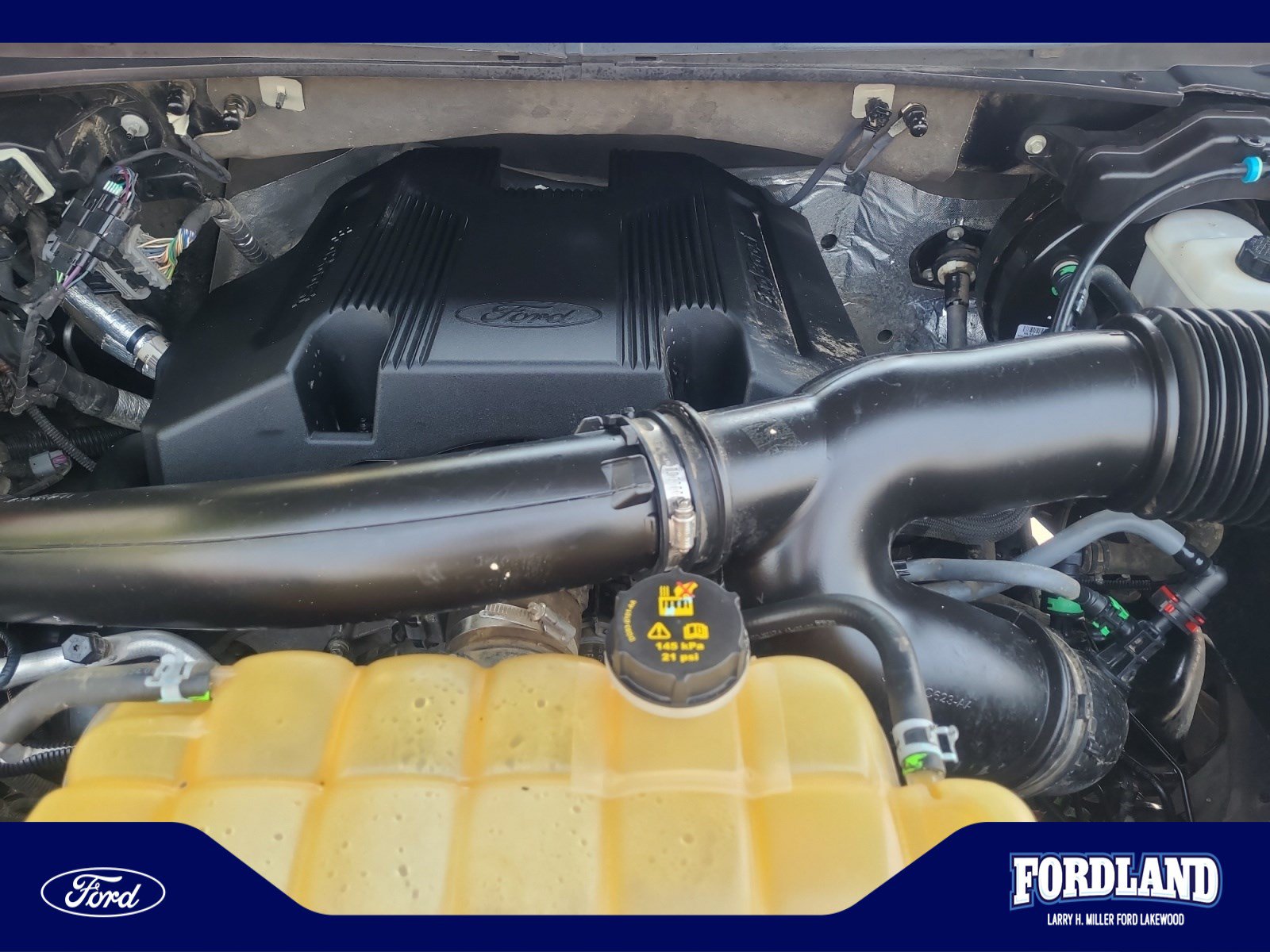 Used 2018 Ford F150 XLT w/ Equipment Group 302A Luxury AWD/4WD image 22
