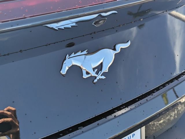 New 2025 Ford Mustang Convertible RWD image 11